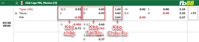 Fb88 bảng kèo trận đấu Tigres UANL vs Toluca