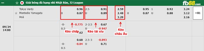 fn88-bảng kèo trận đấu Tokyo Verdy vs Montedio Yamagata