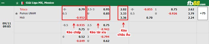 fb88-bảng kèo trận đấu Toluca vs Pumas UNAM