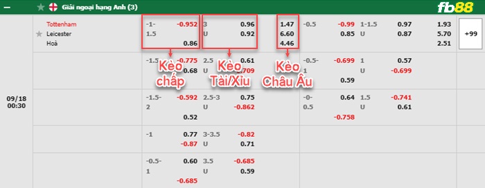 Fb88 bảng kèo trận đấu Tottenham vs Leicester
