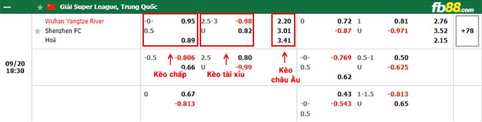 fb88-bảng kèo trận đấu Wuhan Yangtze vs Shenzhen FC