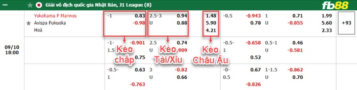 Fb88 bảng kèo trận đấu Yokohama F Marinos vs Avispa Fukuoka