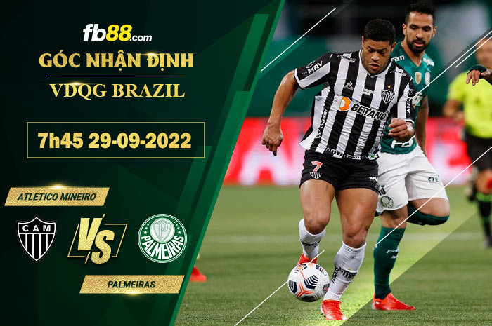 Fb88 soi kèo trận đấu Atletico Mineiro vs Palmeiras