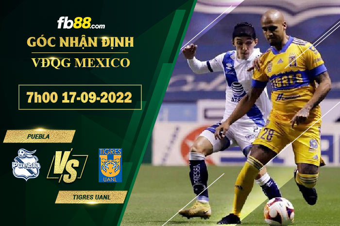 Soi kèo Puebla vs Tigres UANL 7h00 ngày 17/9/2022