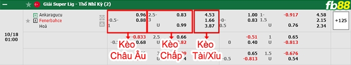 Fb88 bảng kèo trận đấu Ankaragucu vs Fenerbahce