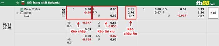 fb88-bảng kèo trận đấu Botev Vratsa vs Beroe