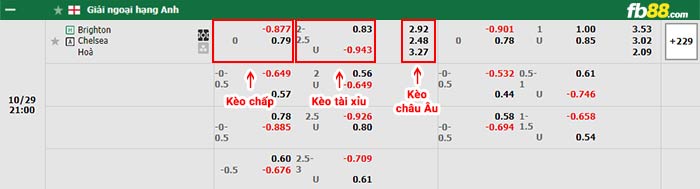 fb88-bảng kèo trận đấu Brighton vs Chelsea