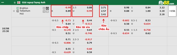 fb88-bảng kèo trận đấu Brighton vs Tottenham