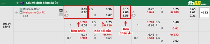 fb88-bảng kèo trận đấu Brisbane Roar vs Melbourne City