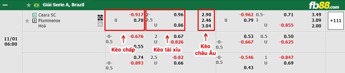 fb88-bảng kèo trận đấu Ceara vs Fluminense