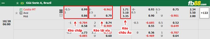 fb88-bảng kèo trận đấu Cuiaba vs Avai