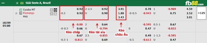 fb88-bảng kèo trận đấu Cuiaba vs Flamengo