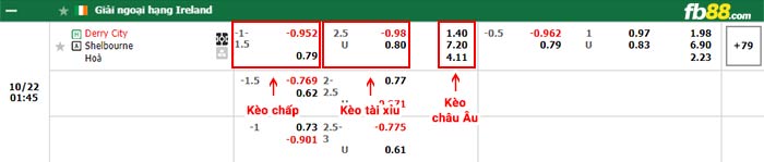 fb88-bảng kèo trận đấu Derry City vs Shelbourne