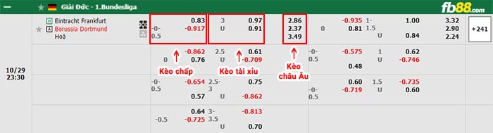 fb88-bảng kèo trận đấu Eintracht Frankfurt vs Dortmund