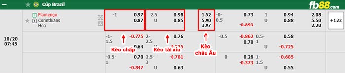 fb88-bảng kèo trận đấu Flamengo vs Corinthians