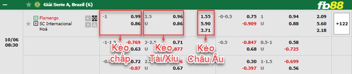 Fb88 bảng kèo trận đấu Flamengo vs Internacional