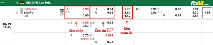 fb88-bảng kèo trận đấu Hoffenheim vs Schalke