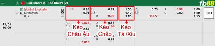 Fb88 bảng kèo trận đấu Istanbul Basaksehir vs Giresunspor