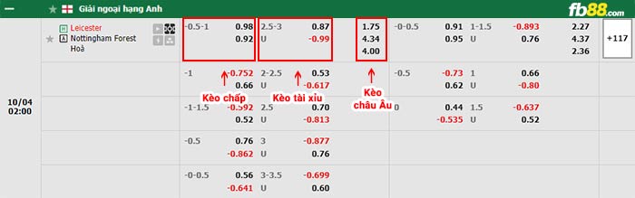 fb88-bảng kèo trận đấu Leicester vs Nottingham Forest