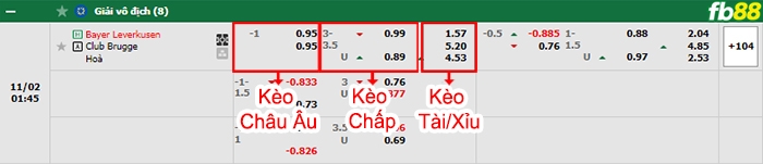 Fb88 bảng kèo trận đấu Leverkusen vs Club Brugge