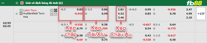 Fb88 bảng kèo trận đấu Luton Town vs Huddersfield