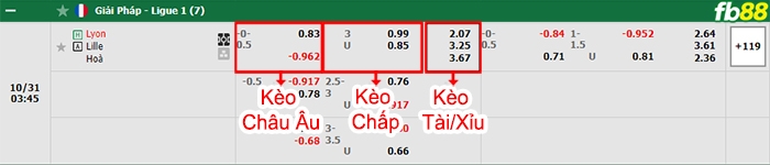 Fb88 bảng kèo trận đấu Lyon vs Lille