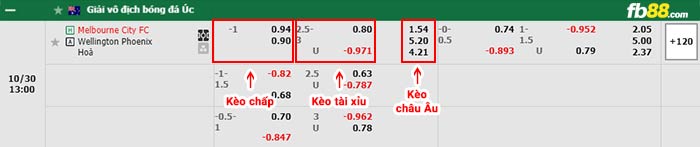 fb88-bảng kèo trận đấu Melbourne City vs Wellington Phoenix