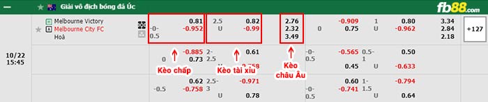 fb88-bảng kèo trận đấu Melbourne Victory vs Melbourne City