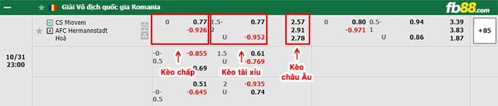 fb88-bảng kèo trận đấu Mioveni vs Hermannstadt