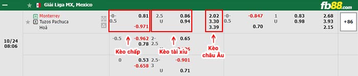 fb88-bảng kèo trận đấu Monterrey vs Pachuca