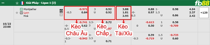 Fb88 bảng kèo trận đấu Montpellier vs Lyon
