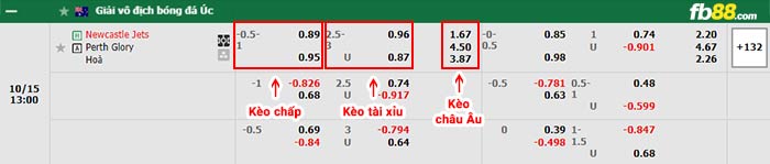 fb88-bảng kèo trận đấu Newcastle Jets vs Perth Glory