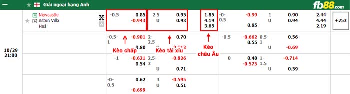 fb88-bảng kèo trận đấu Newcastle vs Aston Villa