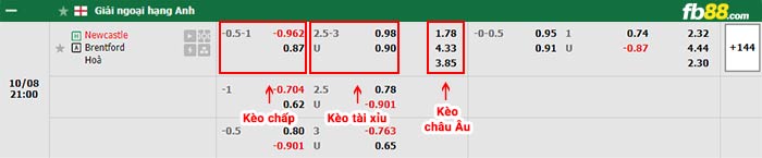 fb88-bảng kèo trận đấu Newcastle vs Brentford