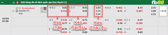 Fb88 bảng kèo trận đấu Nordsjaelland vs Randers