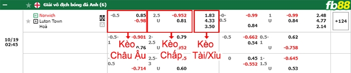 Fb88 bảng kèo trận đấu Norwich vs Luton