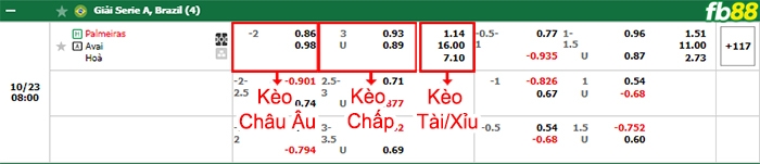 Fb88 bảng kèo trận đấu Palmeiras vs Avai