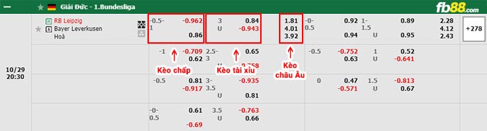 fb88-bảng kèo trận đấu RB Leipzig vs Leverkusen