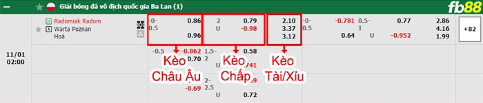 Fb88 bảng kèo trận đấu Radomiak vs Warta Poznan