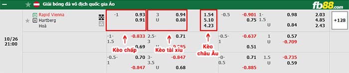 fb88-bảng kèo trận đấu Rapid Wien vs Hartberg