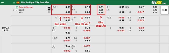 fb88-bảng kèo trận đấu Rayo Vallecano vs Cadiz