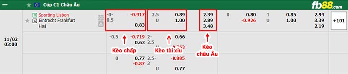 fb88-bảng kèo trận đấu Sporting Lisbon vs Eintracht Frankfurt