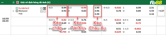 Fb88 bảng kèo trận đấu Sunderland vs Blackpool