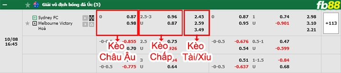 Fb88 bảng kèo trận đấu Sydney FC vs Melbourne Victory