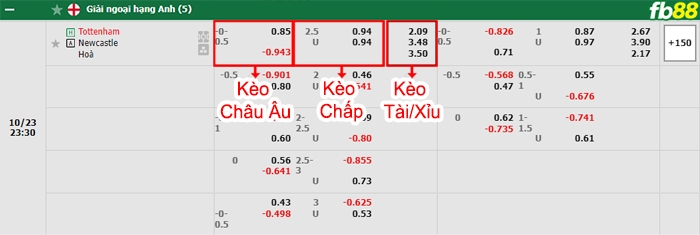 Fb88 bảng kèo trận đấu Tottenham vs Newcastle
