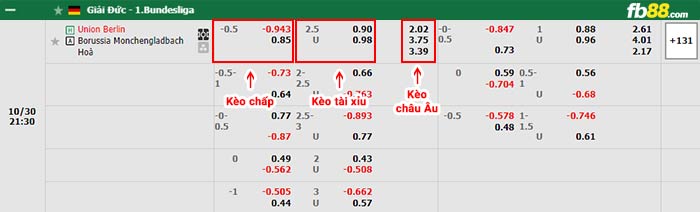 fb88-bảng kèo trận đấu Union Berlin vs Monchengladbach