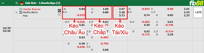 Fb88 bảng kèo trận đấu Werder Bremen vs Hertha Berlin