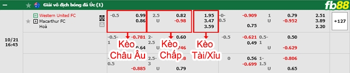 Fb88 bảng kèo trận đấu Western United vs Macarthur