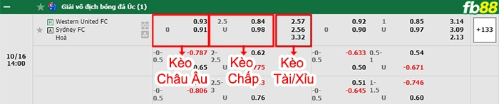 Fb88 bảng kèo trận đấu Western United vs Sydney FC