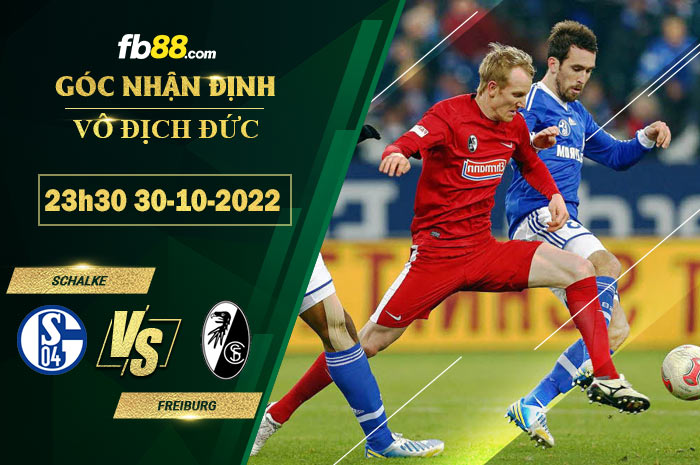 Fb88 soi kèo trận đấu Schalke vs Freiburg